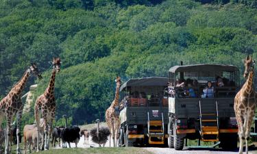 Hotels near Port Lympne Wild Animal Park