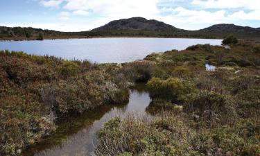 Hoteller i nærheden af Great Lake, Tasmanien