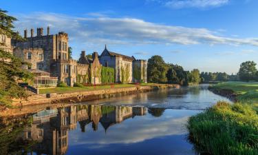 Hoteles cerca de Club de golf Adare Manor