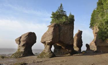 Hotelek a Hopewell Rocks Park közelében