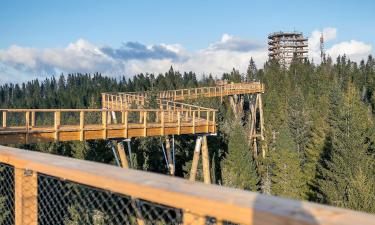 Hotels near Treetop Walk