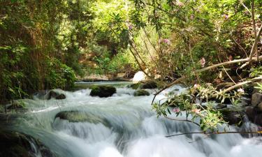 Hoteli v bližini znamenitosti naravni rezervat Banias