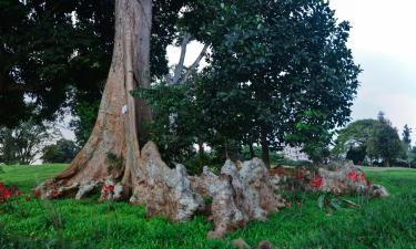 Entebbe Botanical Garden – hotellit lähistöllä