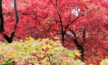 Westonbirt Arboretum – hotely poblíž