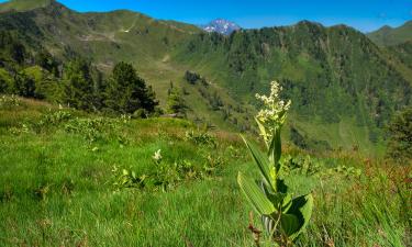 Hotels near Riesneralm