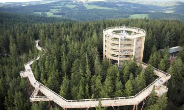 Passerella tra gli alberi di Lipno: hotel