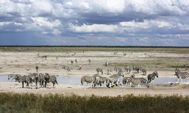 Hotels near Etosha National Park Anderson Gate