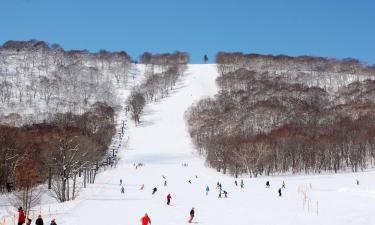 Hoteli u blizini znamenitosti Skijalište Appi Kogen