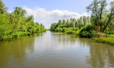 Hôtels près de : Parc national De Biesbosch