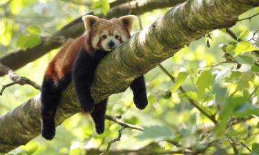 Knoxville Zoological Gardens yakınındaki oteller