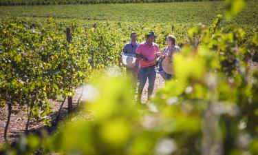 Hotels near Simonsvlei Wines