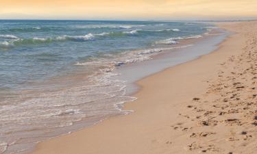 Praia da Comporta: hotel