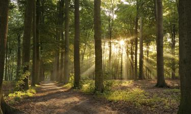 Hotels near Brocken