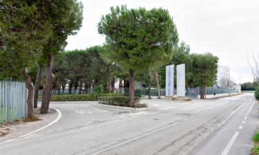 Termų centras „Terme di Torre Canne“: viešbučiai netoliese