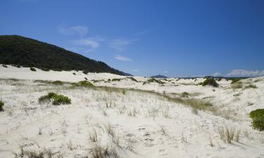 Hotéis perto de Stockton Beach