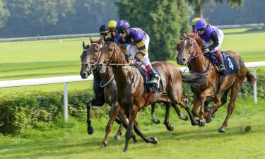 Hoteles cerca de Hipódromo de Caulfield