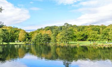 Hotelek a Slottsskogen park közelében