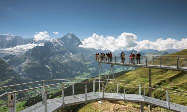 Hotels near First Grindelwald