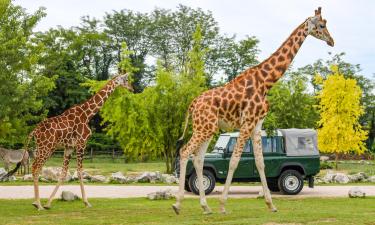 Зоопарк с сафари Parco Natura Viva: отели поблизости
