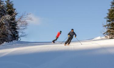 Mount Snow Resort yakınındaki oteller