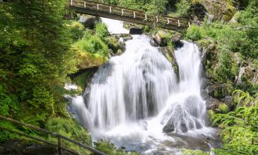 Hotelek a Triberg-vízesés közelében