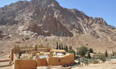 Hotels near Mount Sinai