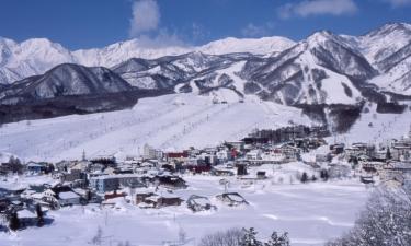 栂池高原滑雪場附近的飯店