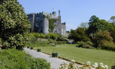 Hôtels près de : Château de Birr