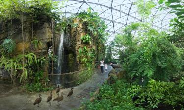 Hotel berdekatan dengan Randers Regnskov - Zoo Tropika