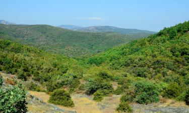 Hôtels près de : Forêt de Dadia