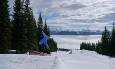 Hotels near Marmot Basin Ski Area