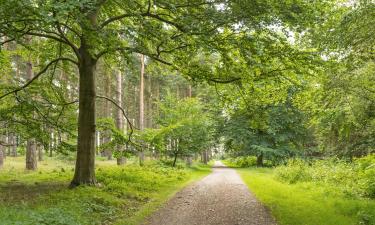 Hotels a prop de Bosc de Sherwood