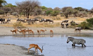 Hotels near Paul Kruger National Park