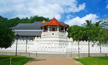 Tempio Sri Dalada Maligawa: hotel