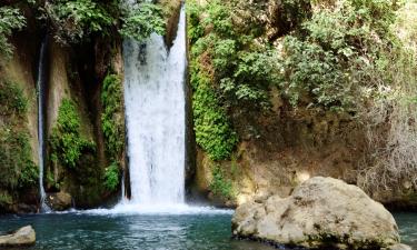 Hoteles cerca de Cascada de Banias