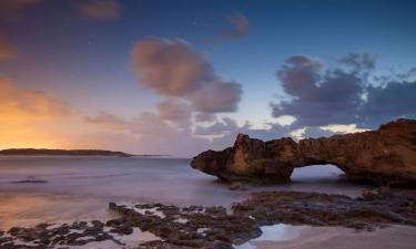 Hôtels près de : Plage de Dor HaBonim