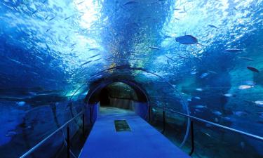 ニューポート水族館周辺のホテル