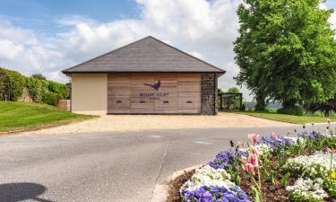 Hôtels près de : Mount Juliet Golf Club