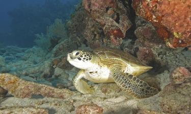 Ξενοδοχεία κοντά σε John Pennekamp Coral Reef State Park