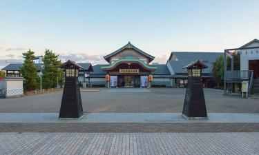 Oedo Onsen Monogatari – hotely v okolí