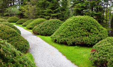 Hôtels près de : Jardin de métis