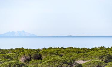 Hotellid huviväärsuse Maremma regionaalpark lähedal