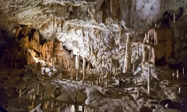 Пещера Постойнска-Яма: отели поблизости