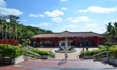 Viesnīcas netālu no apskates objekta tematiskais parks Okinawa World