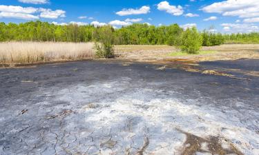 Hotéis perto de: Reserva natural Soos