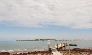 Hotels near Penguin Island