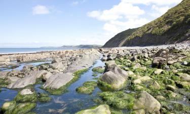 ランディ島周辺のホテル