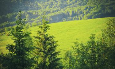 畢茲札迪山國家公園（Bieszczady National Park）附近的飯店