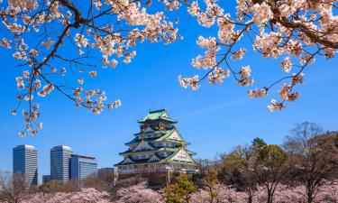 Burg Osaka: Hotels in der Nähe