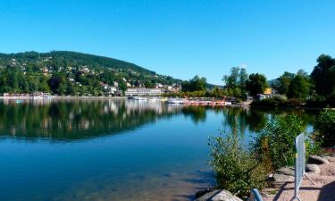 Gérardmer Gölü yakınındaki oteller